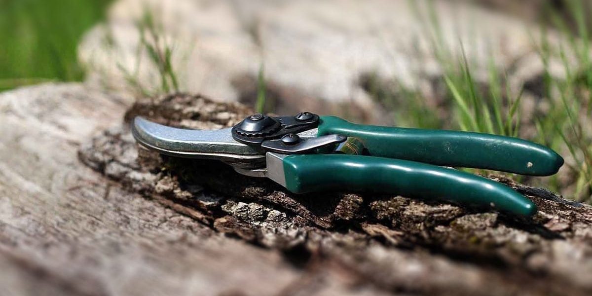 CALENDARIO DE PODA DE JARDÍN CALENDARIO DE PODA DE JARDÍN