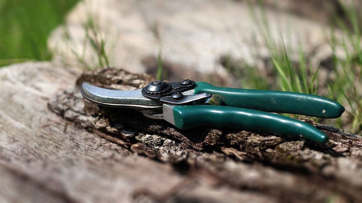 CALENDARIO DE PODA DE JARDÍN