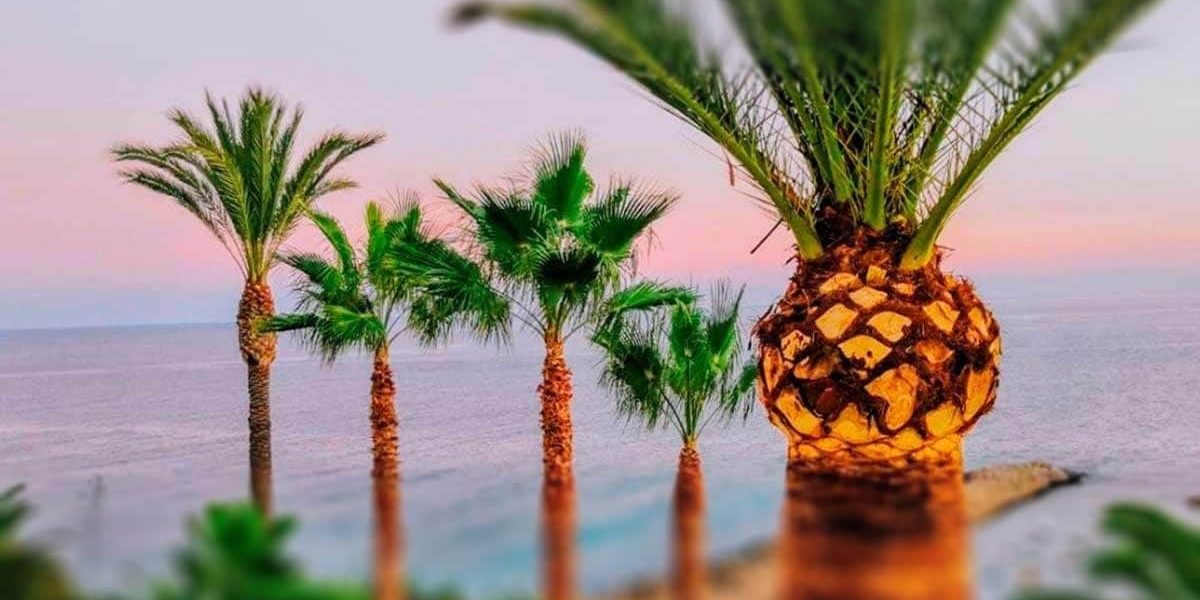 WHEN TO PRUNE PALM TREES? ¿CUÁNDO PODAR LAS PALMERAS?